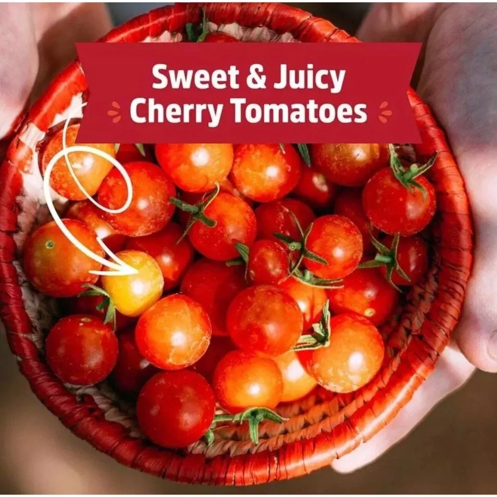 Back to the Roots - Organic Cherry Tomato Grow Complete Kit